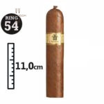 Trinidad Vigia