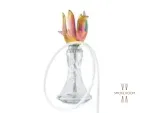Anima Tulip