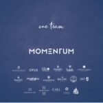 momentum group