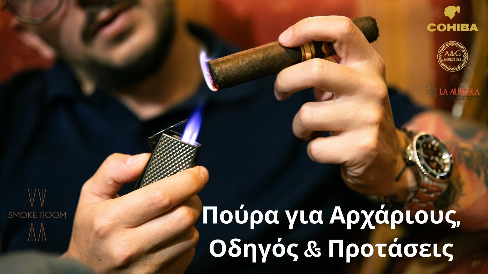 Πούρα για αρχάριους οδηγός και προτάσεις